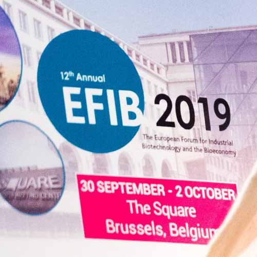 EFIB 2019