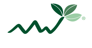 Logo BioEconomy Cluster